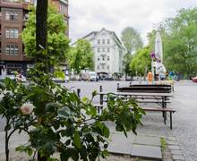 Foto eines Platzes mit Blumen und Bänken in Neukölln, Foto-Wettbwerbsbeitrag 2019